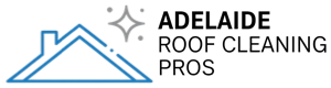 Adelaide Roof Cleaning Pros