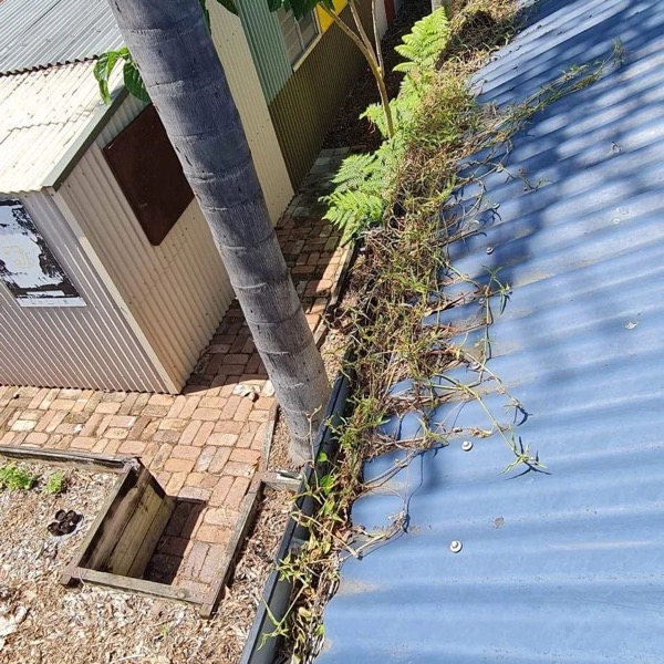 Gutter Debris Accumulation