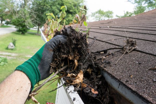 Gutter Debris Removal