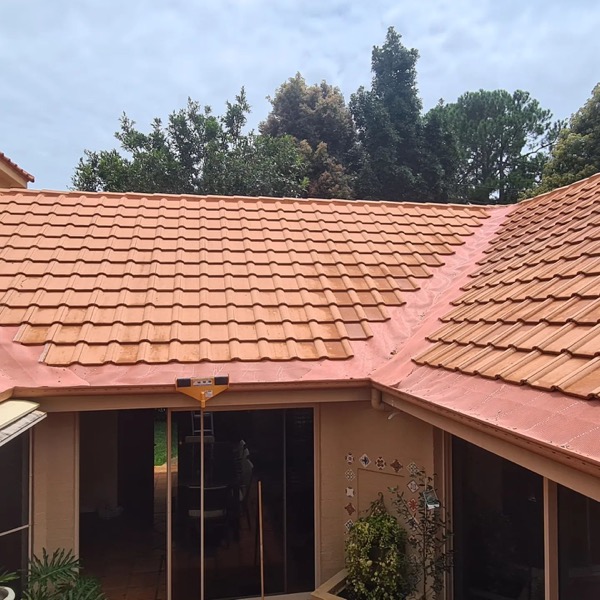 Roof And Gutter Cleaning Package Deal