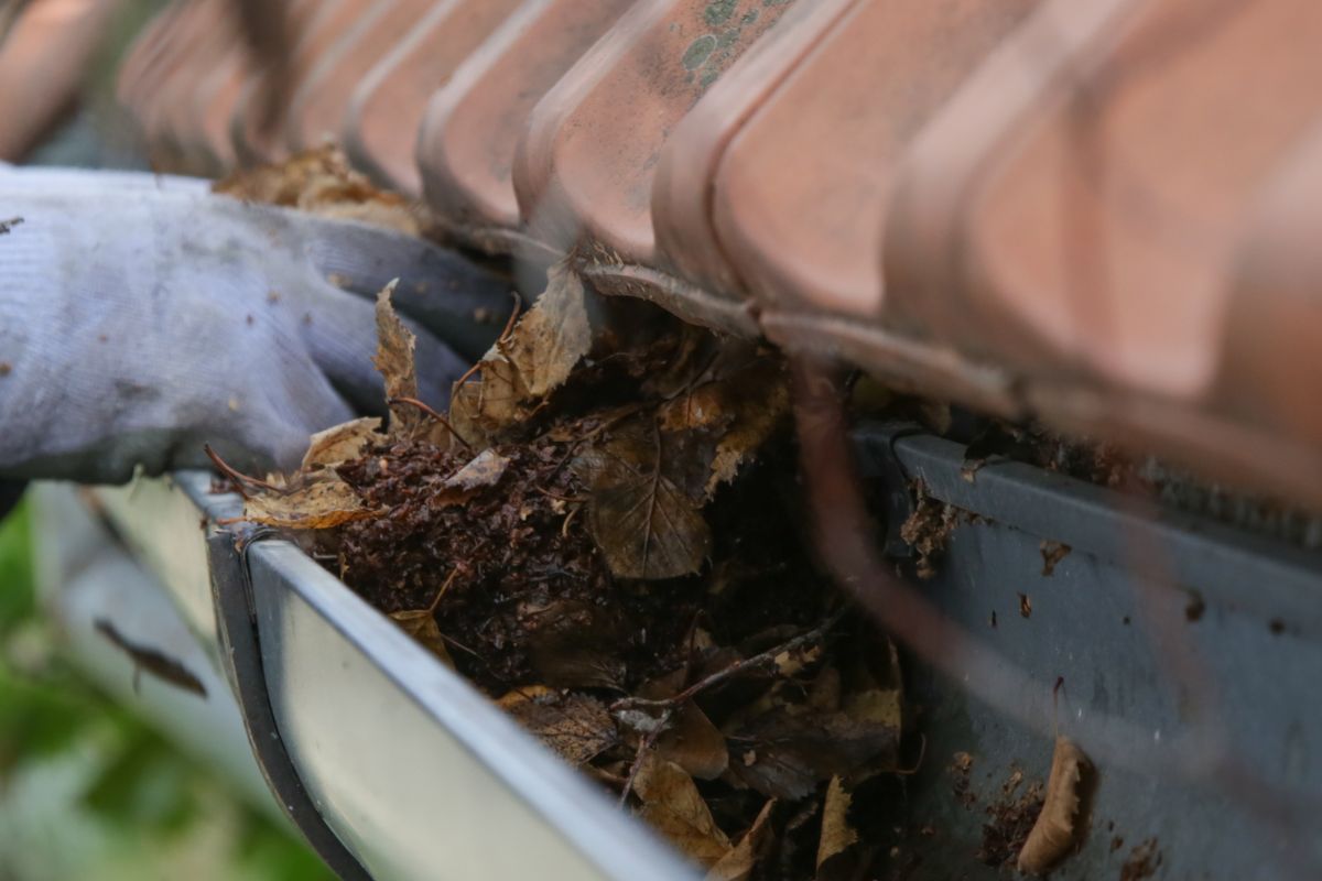 Gutter Guards