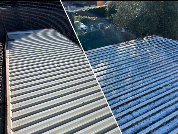 Importance Of Professional Metal Roof Cleaning
