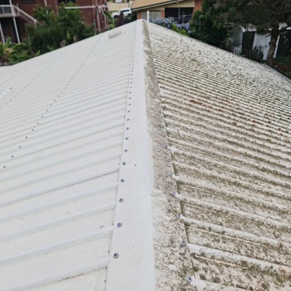 Metal Roof With Mould Moss And Lichen Growth