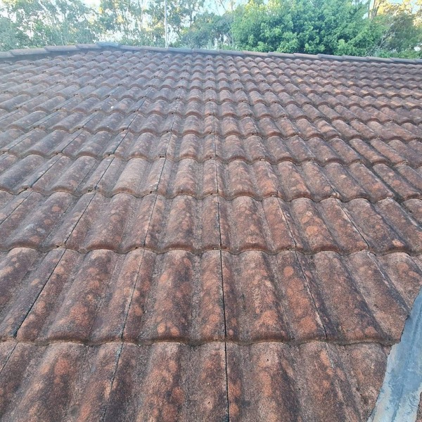Remove Mould Moss And Lichen From Tile Roof